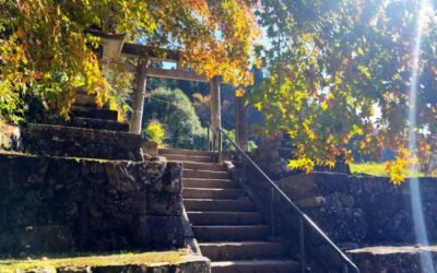 Perché l’autostrada Nakasendo deve essere la tua prossima meta di viaggio: guida 2024